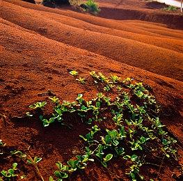 《星位继承者》开发商RPG新作《Lost Hellden》公开